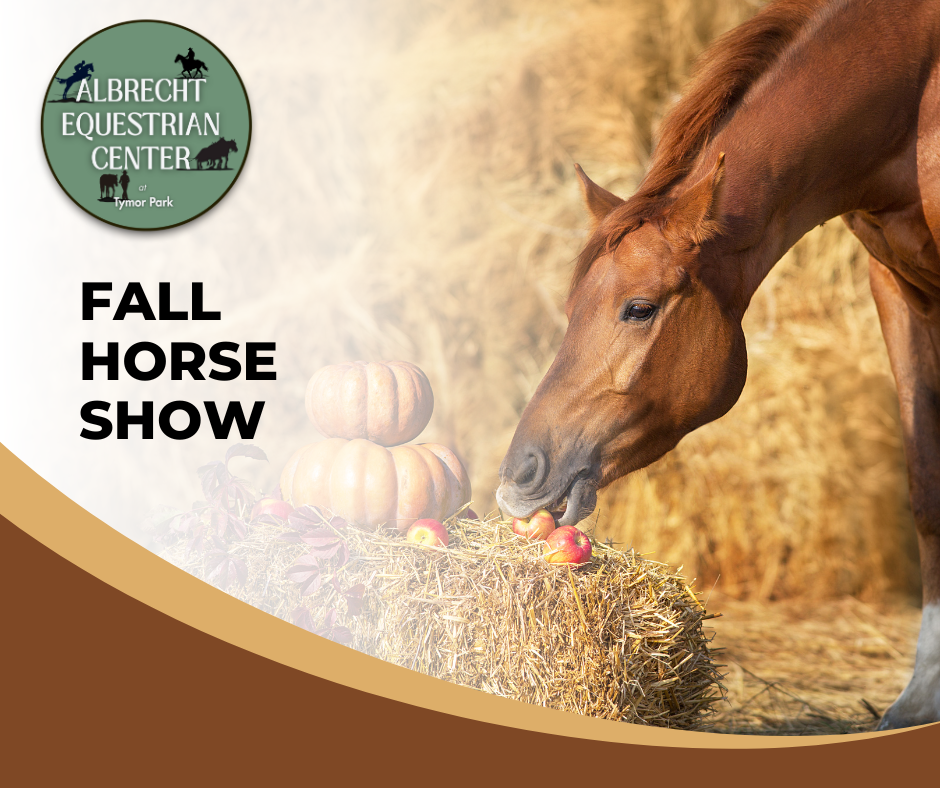 Fall Horse Show