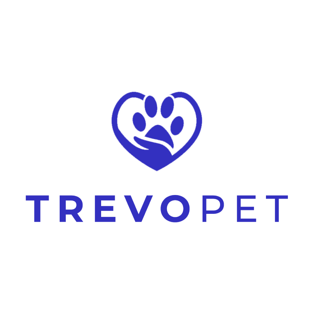 New Project (8).png