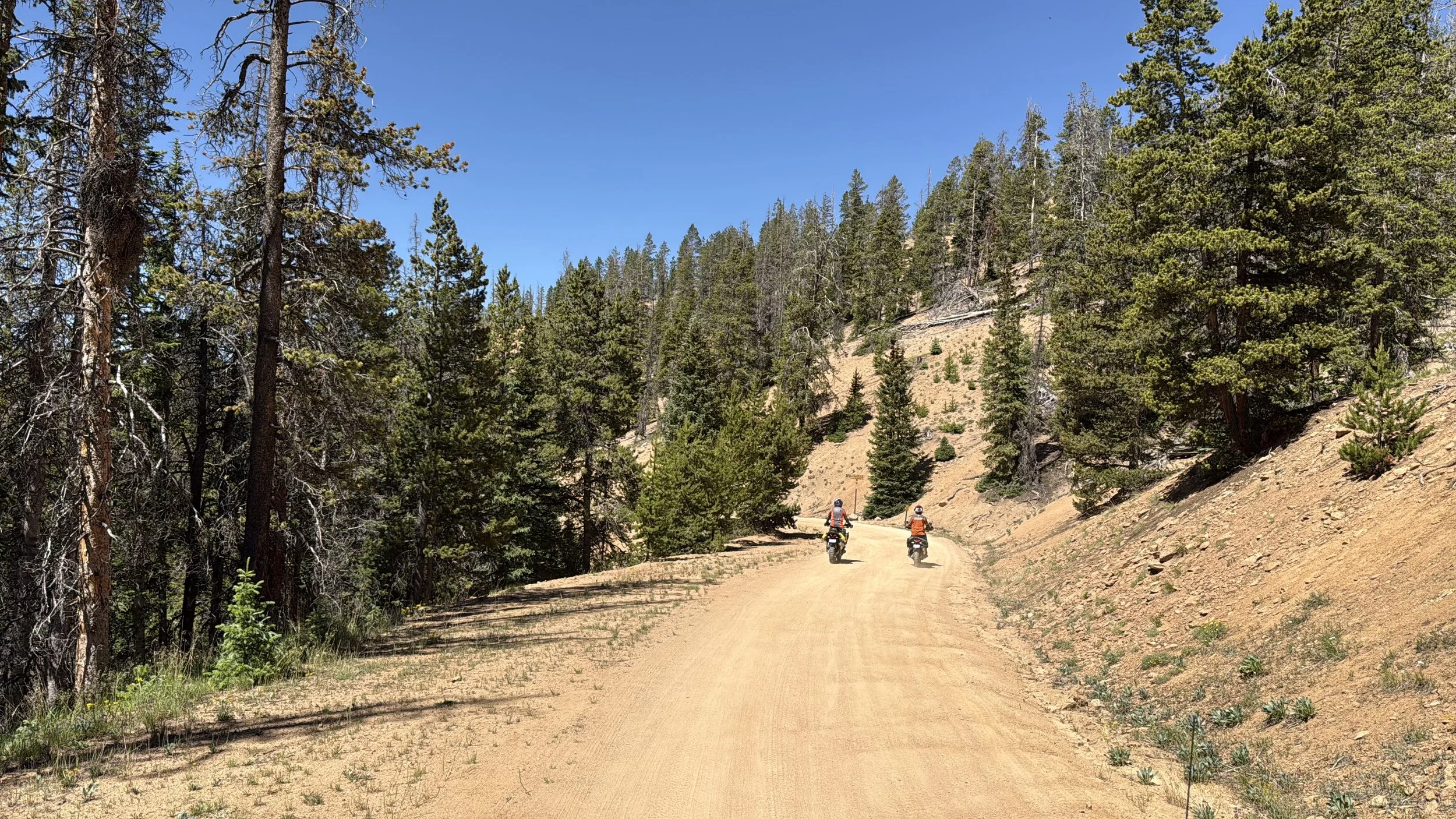 Old Monarch - riders on a hill.jpeg