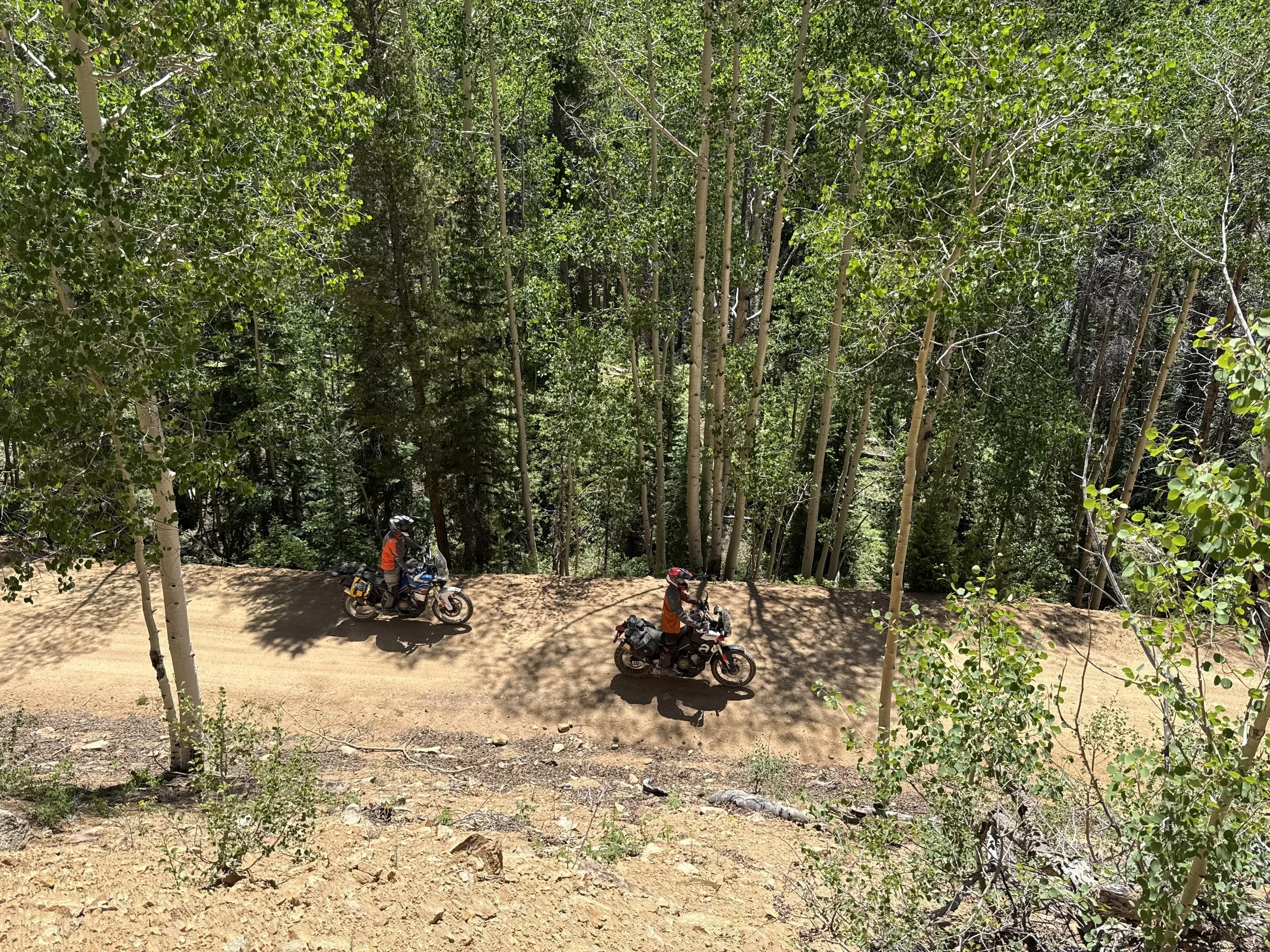 Old Monarch - riders straight below cool.jpeg