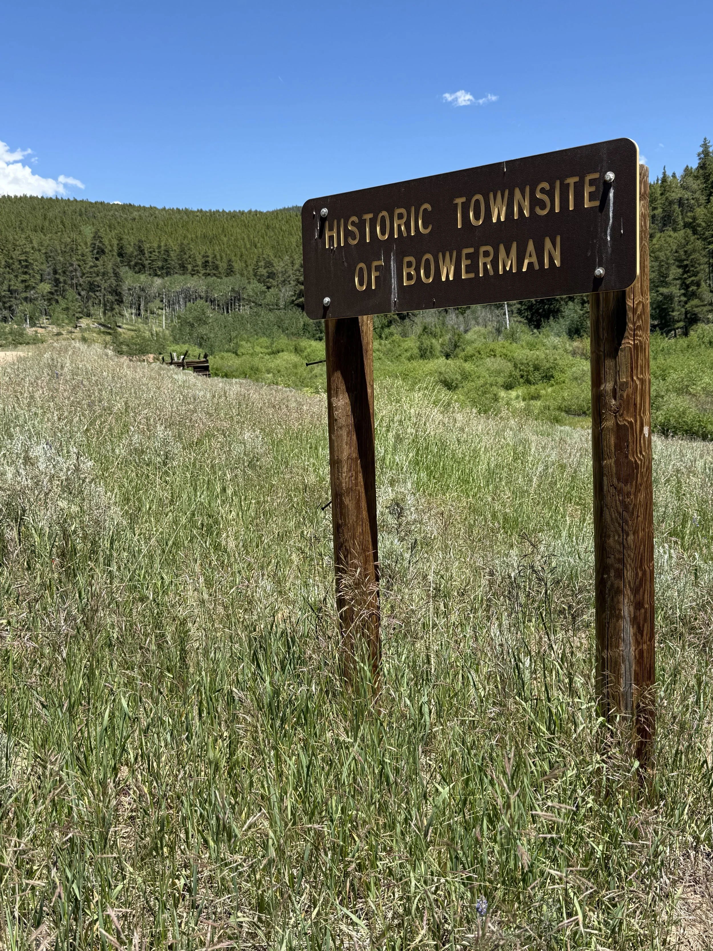 Old Monarch - bowerman sign close.jpeg