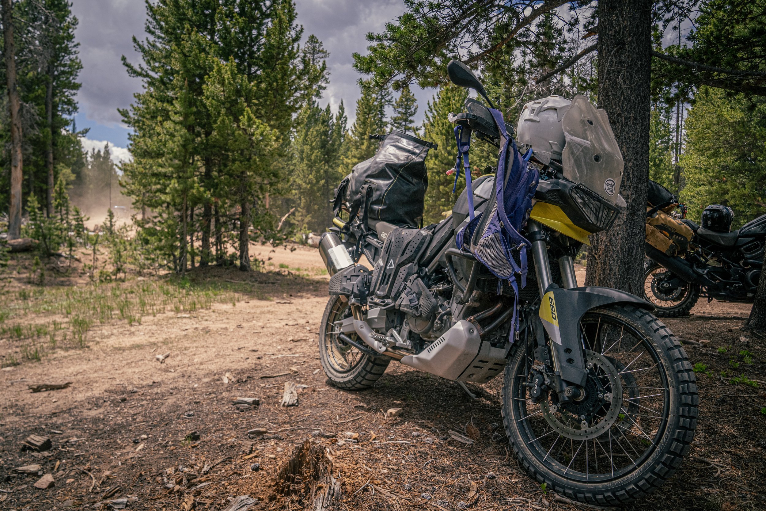 deadmans aprillia w gear and all.jpg