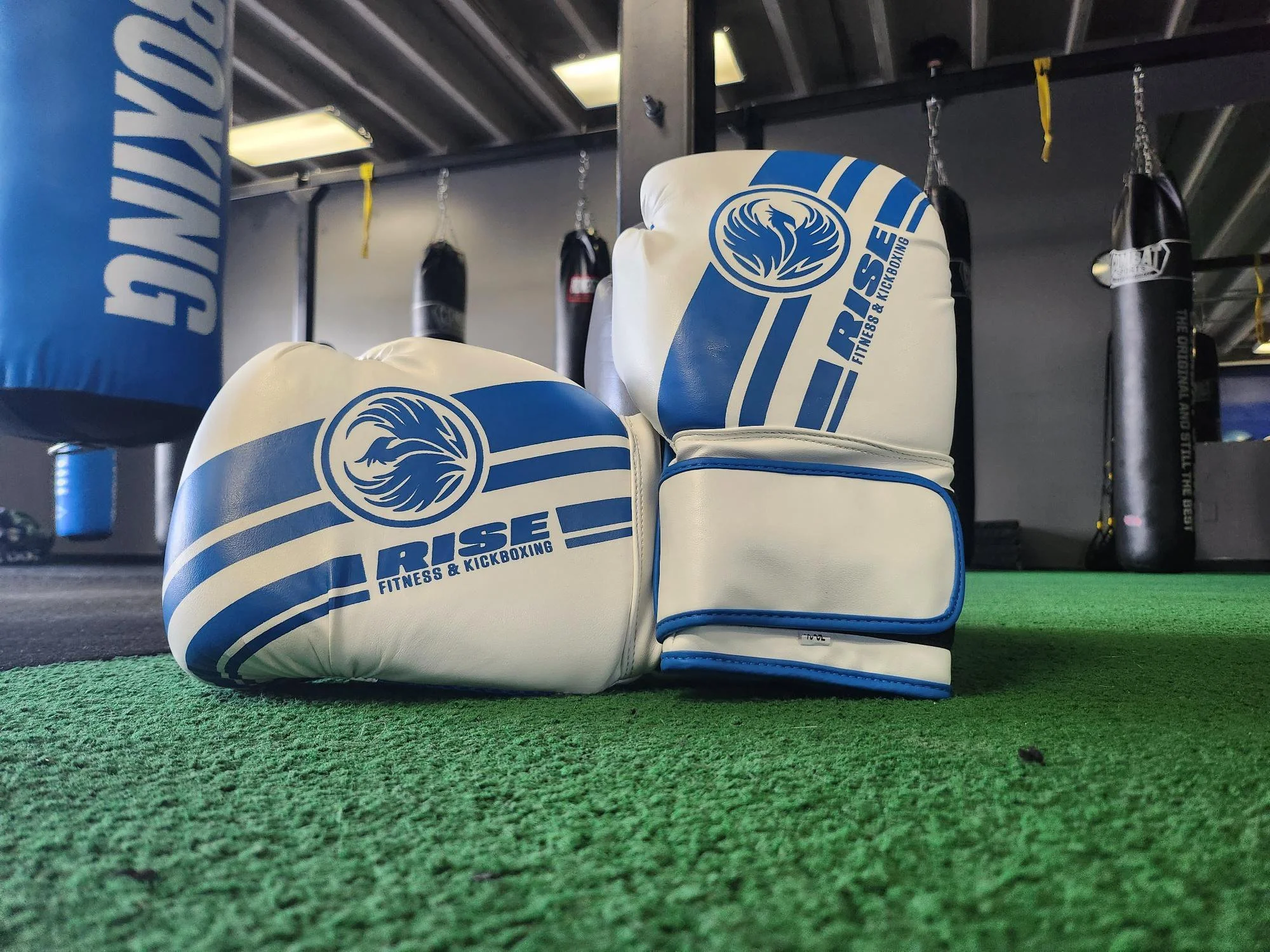 RISE Boxing Gloves — RISE Fitness & Kickboxing