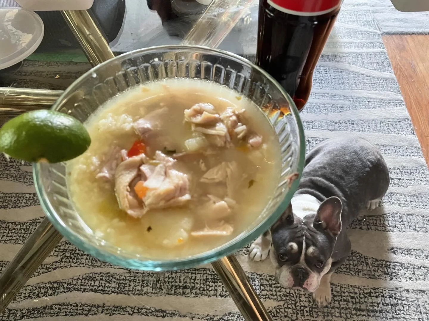 Salvadorean chicken soup! Perfect for a rainy day lunch. My chicken quality consultant @blueboy_draven.frenchie approves!