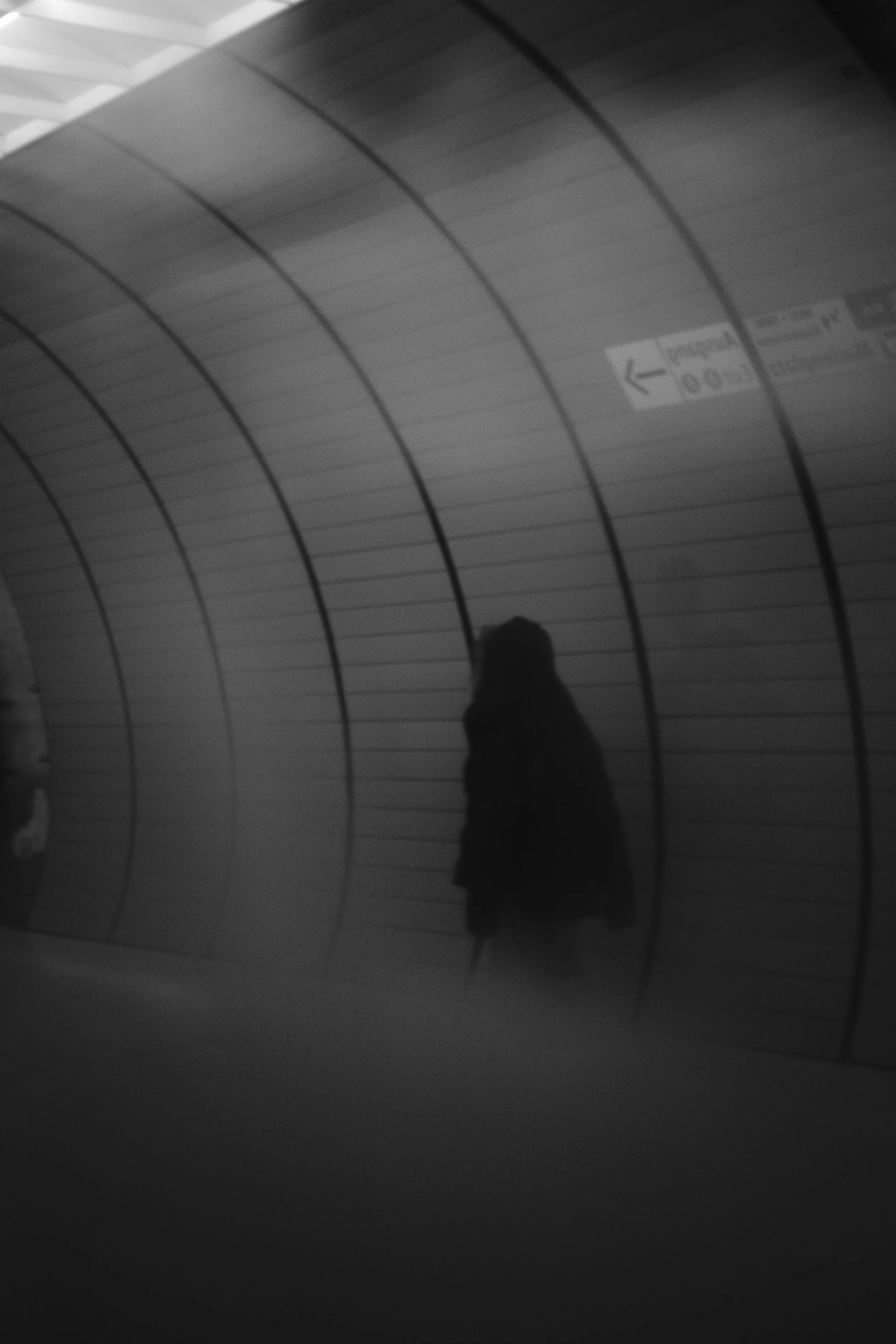 _DSF7835.jpg