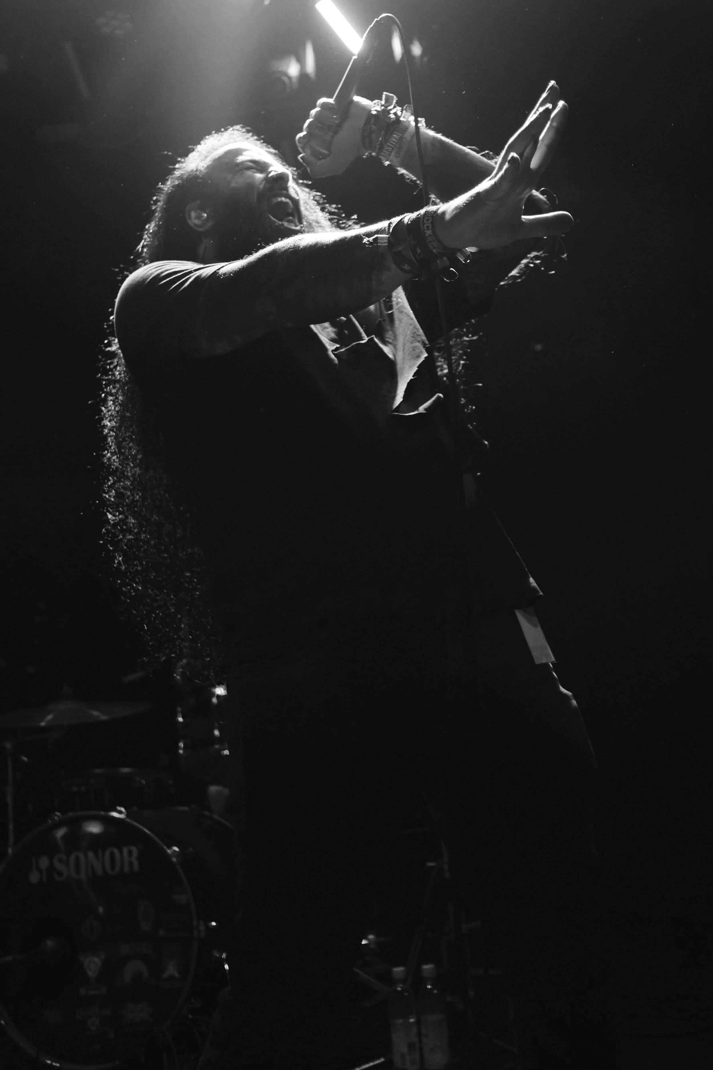 _DSF4253.jpg