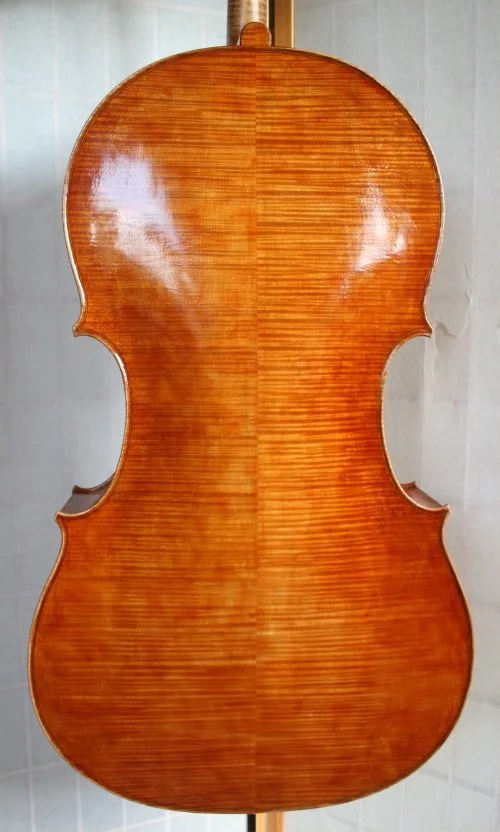 cello back.jpg
