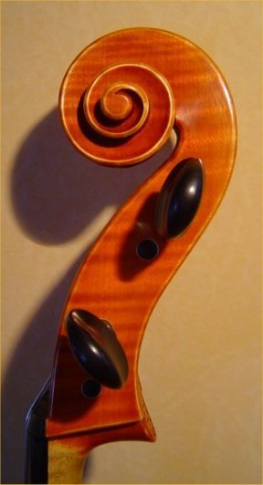 Celloschnecke r..jpg