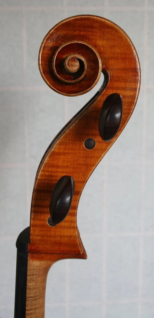 scroll cello2014.jpg