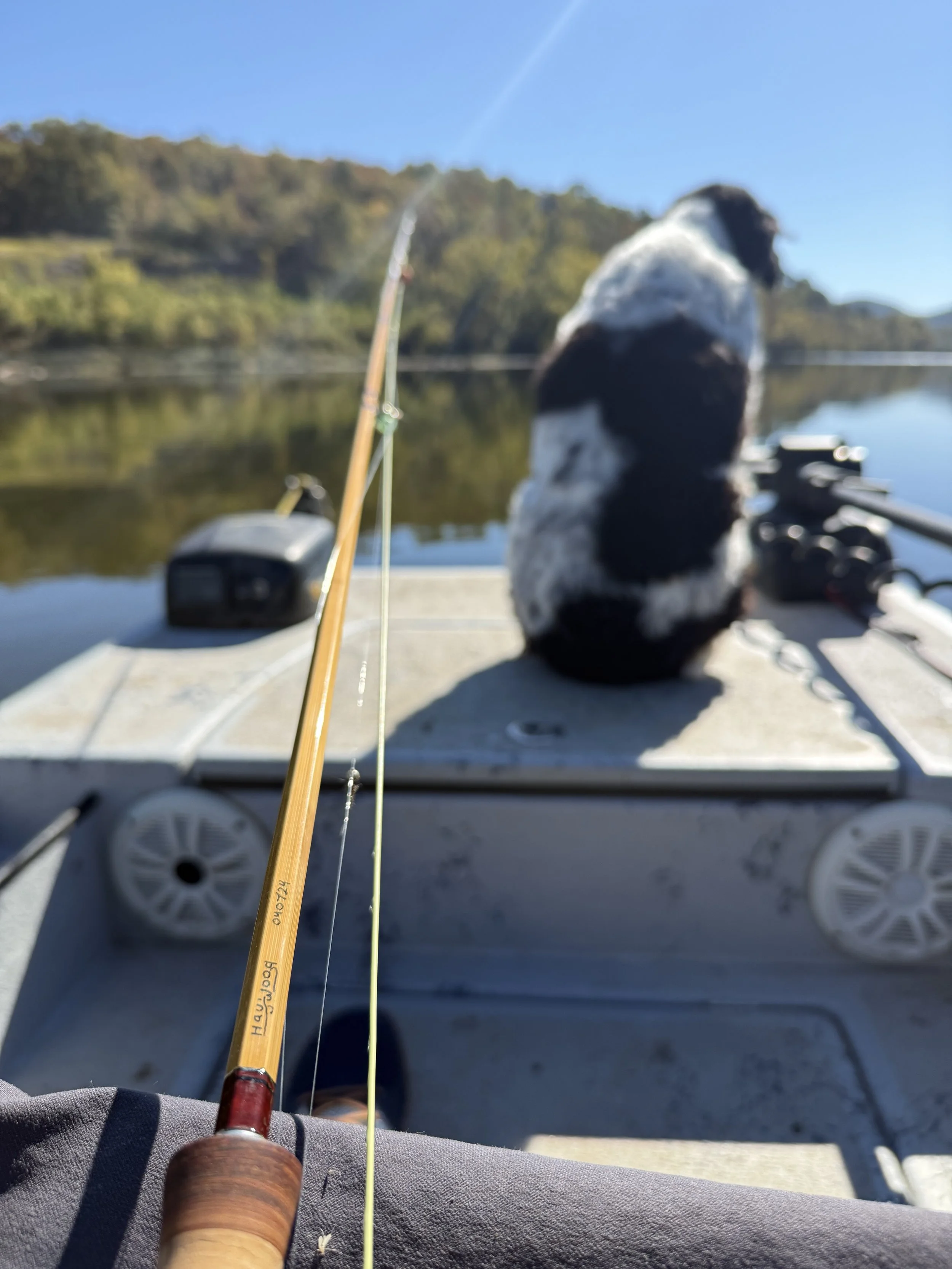 A bamboo fly rod labeled "Haywood" held by an angler on a drift boat, with fly line strung through the guides and a black-and-white dog sitting on the bow, surrounded by calm, tree-lined water on a clear autumn day.