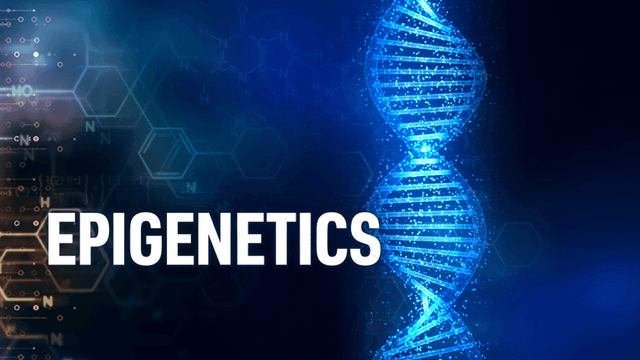 Full Measure: Epigenetics with Antonei Csoka
