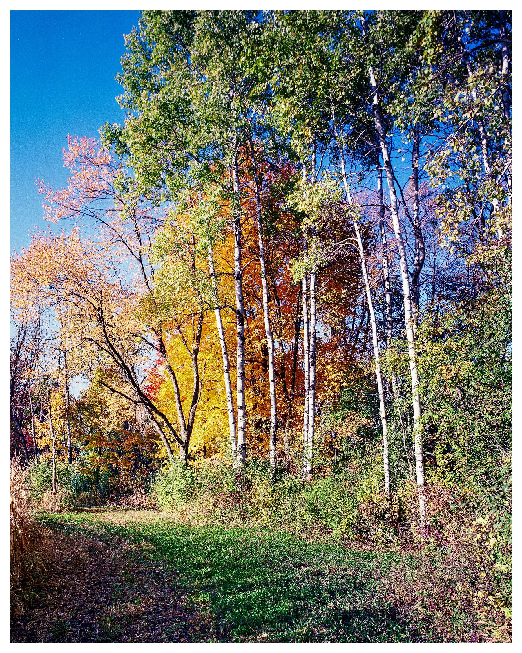 20231022-C1.jpg