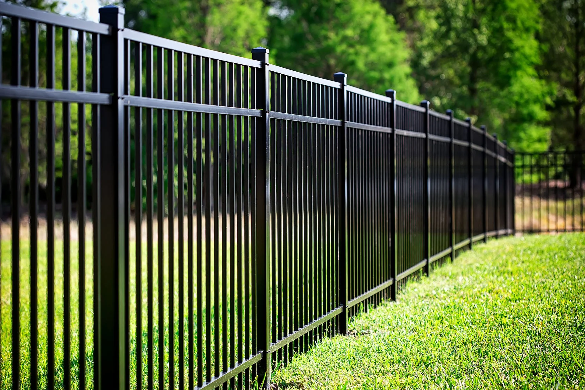 Black metal fence along a grassy yard with trees in the background