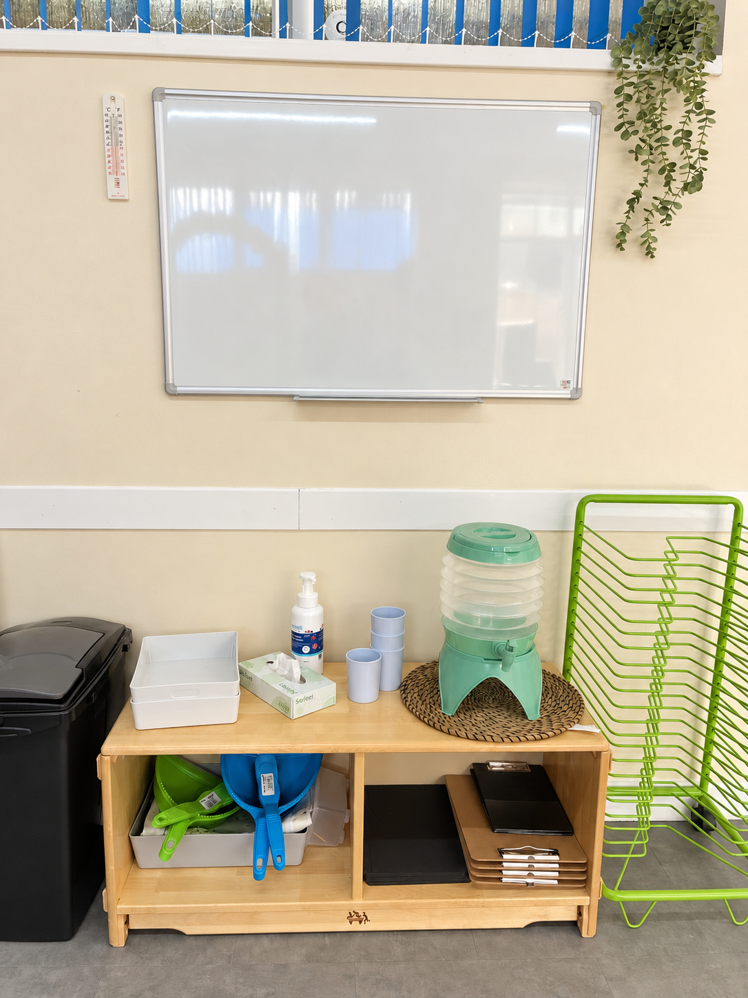 Warm natural light in nursery.png