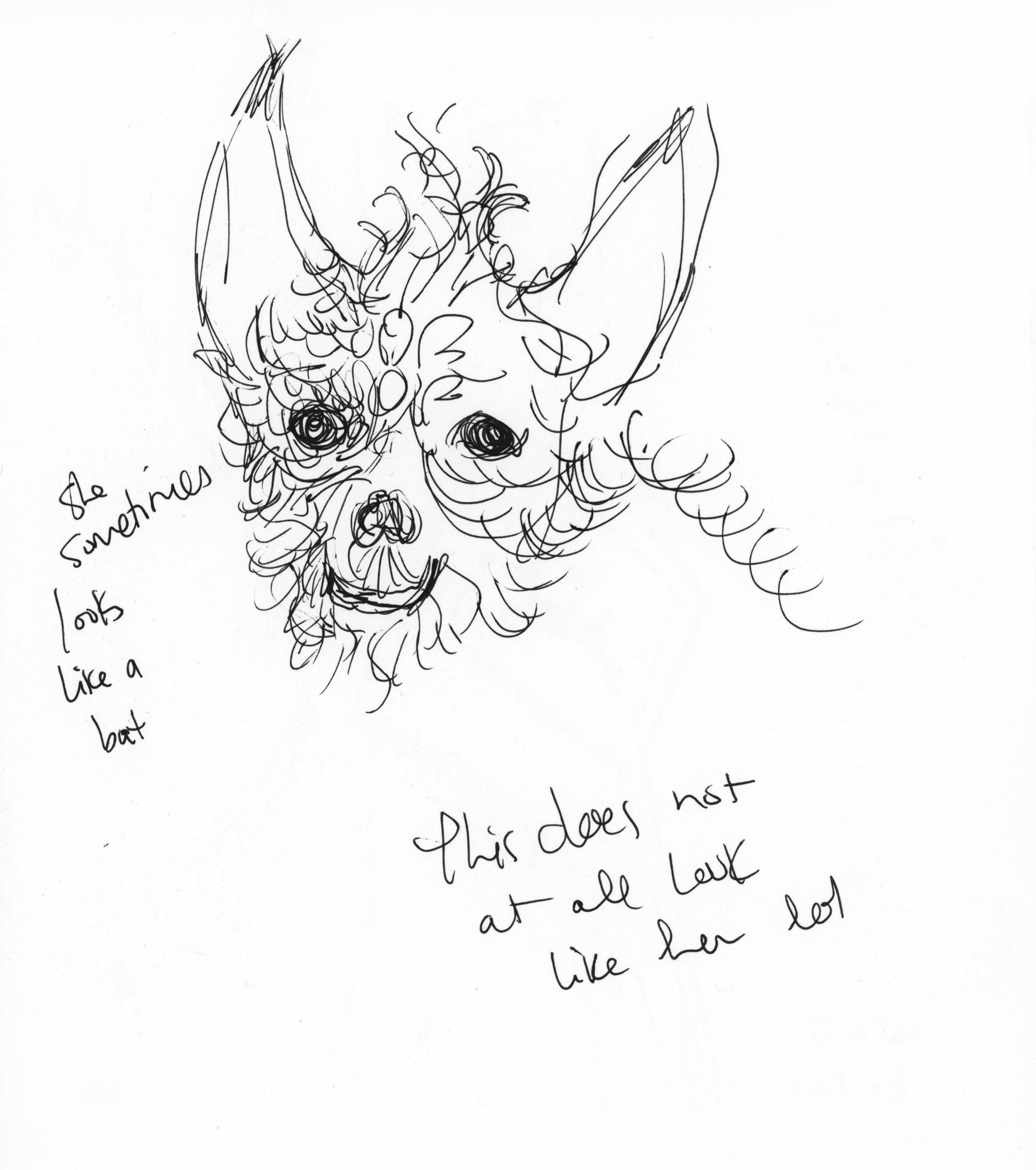 “She sometimes looks like a bat” (Yoko)