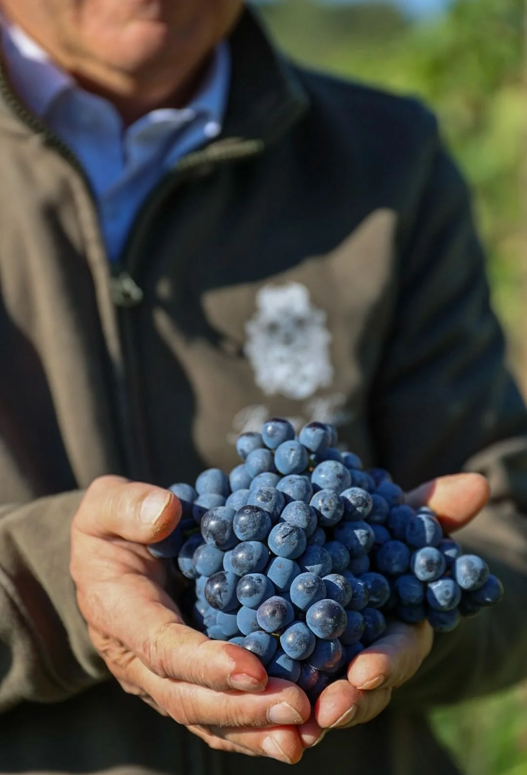 Immagine WhatsApp 2025-10-03 alle 10.05.317888.jpeg