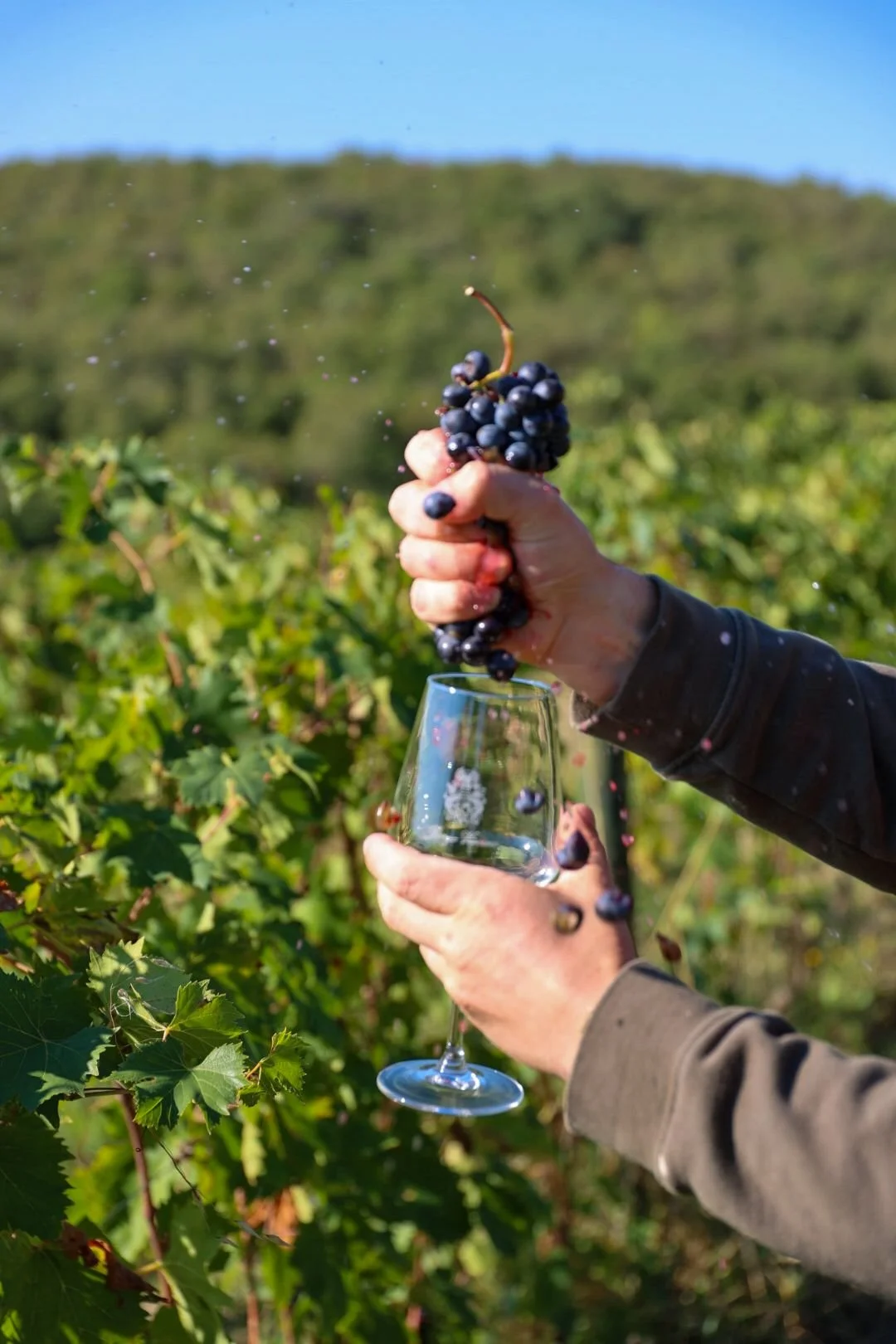 Immagine WhatsApp 2025-10-03 alle 10.05.203434.jpeg