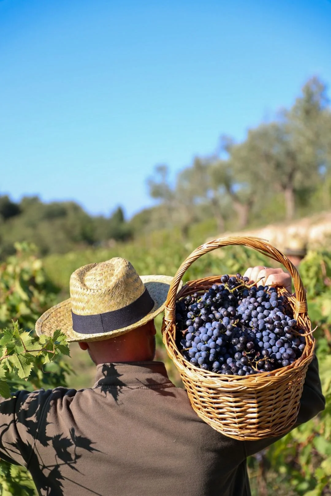 Immagine WhatsApp 2025-10-03 alle 10.05.296776.jpeg