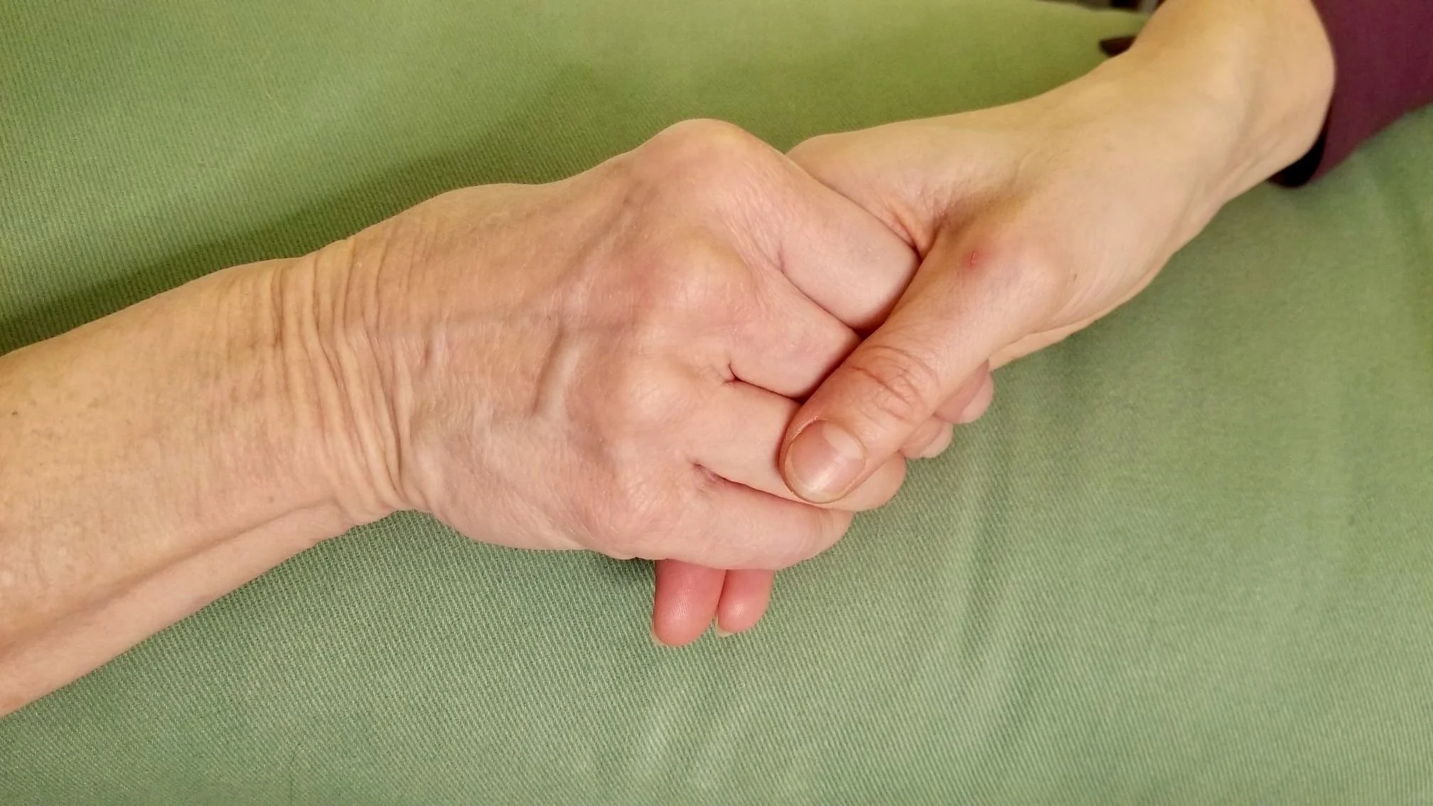 A close-up photo of an older person's hand holding a younger person's hand, resting on a green fabric surface.