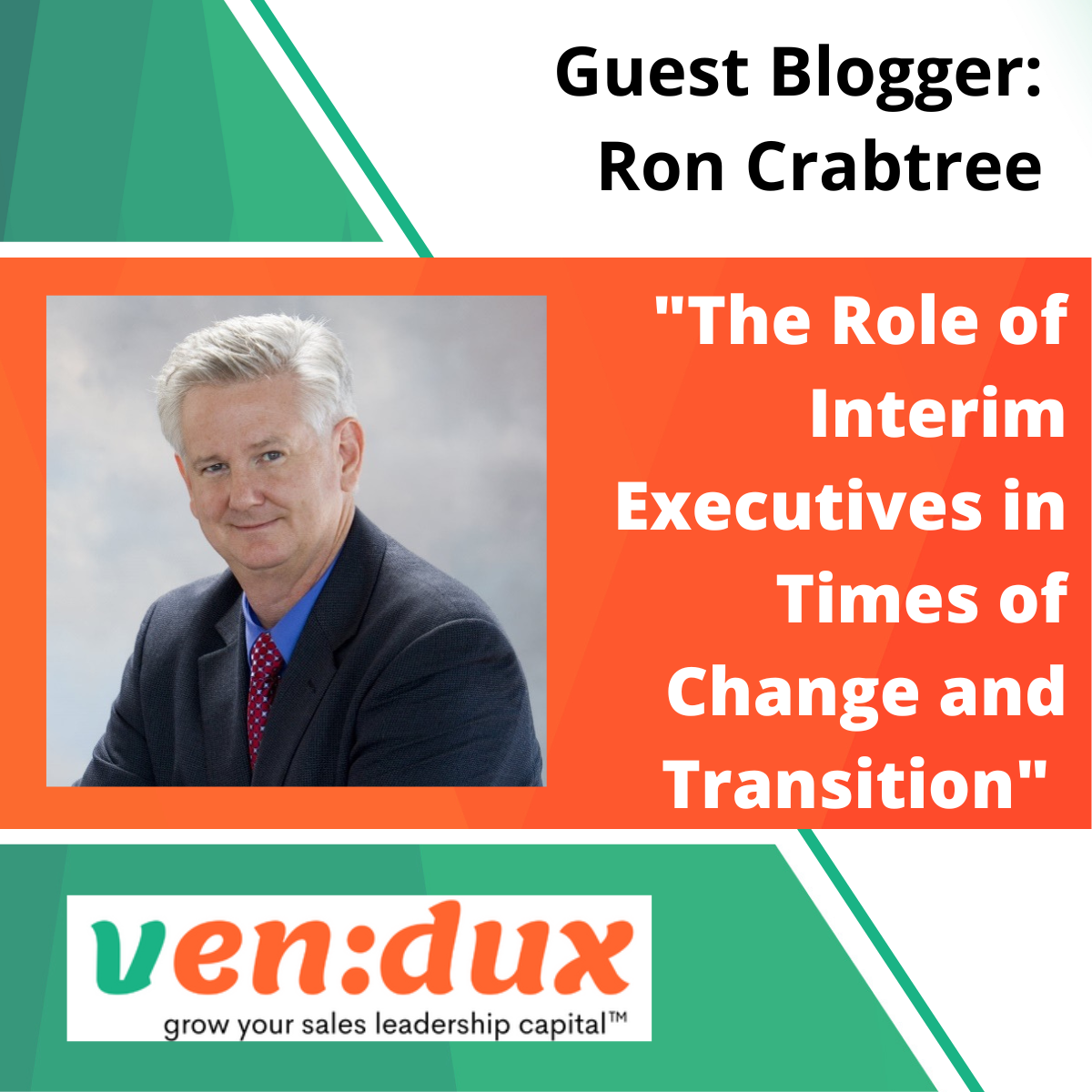 The Role of Interim Executives in Times of Change and Transition