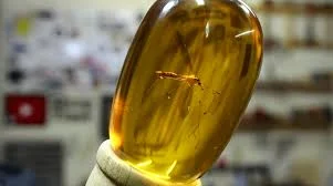 Six Traps to Avoid As a Sales Leader