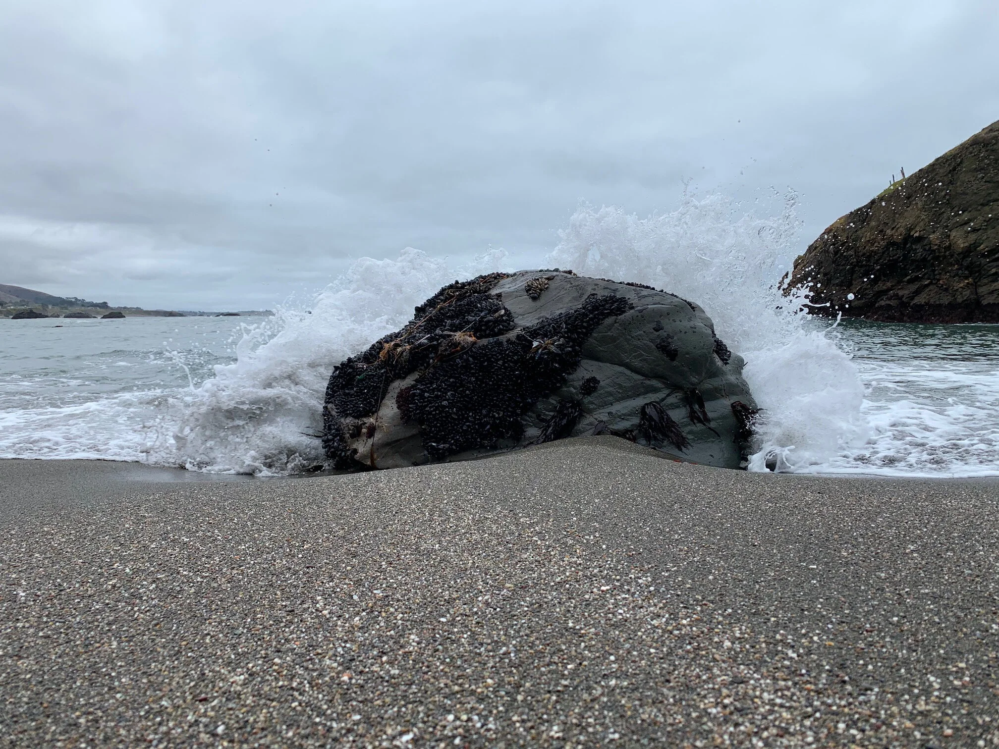 Sales Objections and How to Handle Them