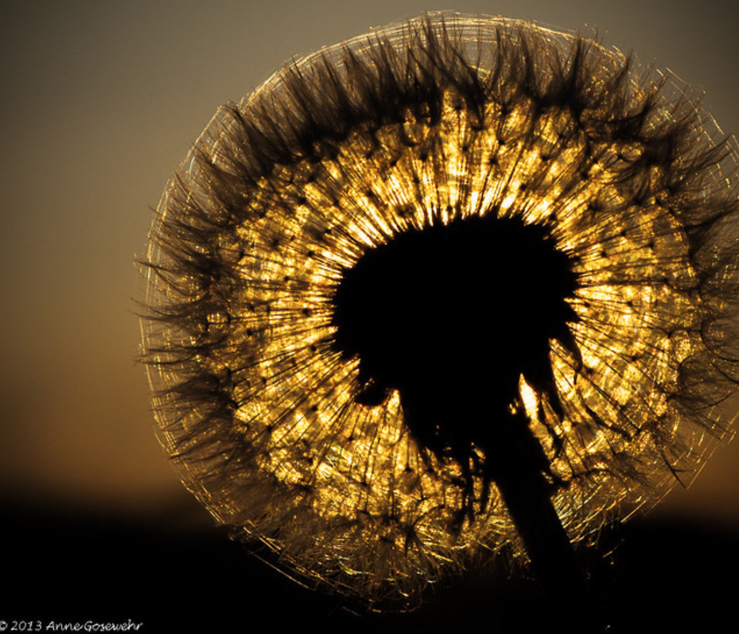 Phrases That People (And Clients) Like to Hear