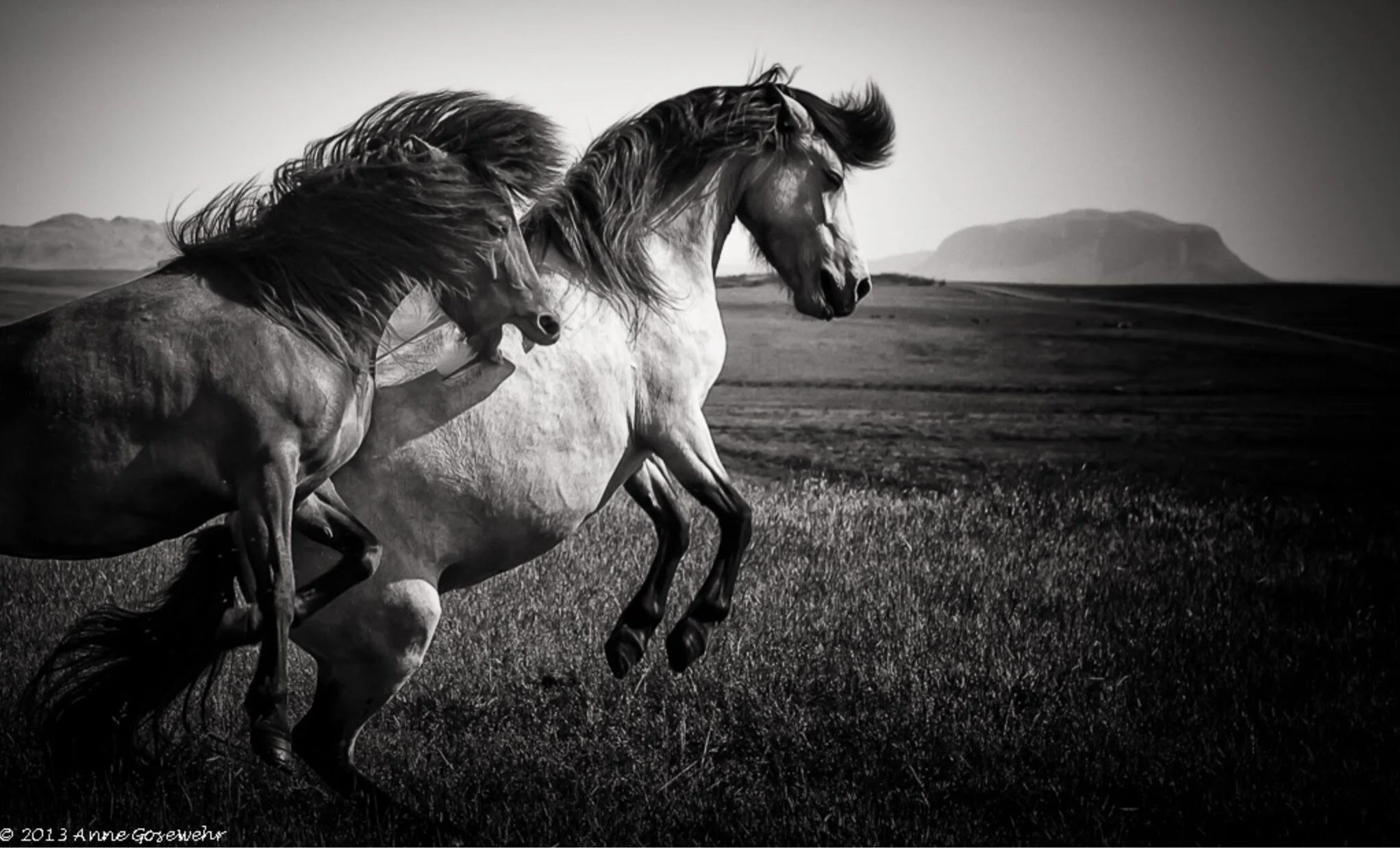 Ensuring Success – The Considerations Around Your Interim or Fractional Sales Leader