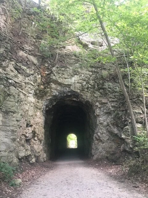 Gig-Executives And the Recovery