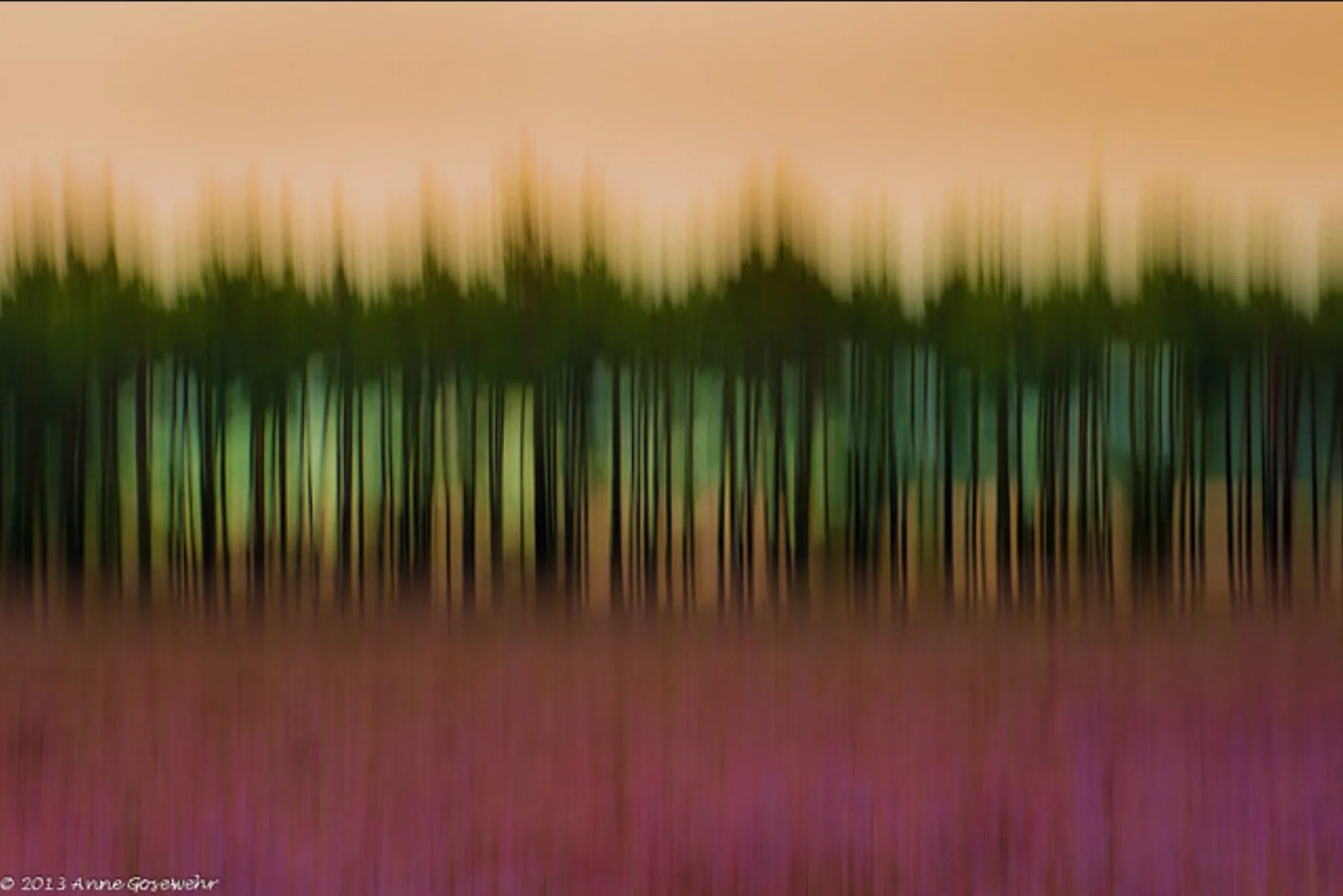 Focus and Success in Sales