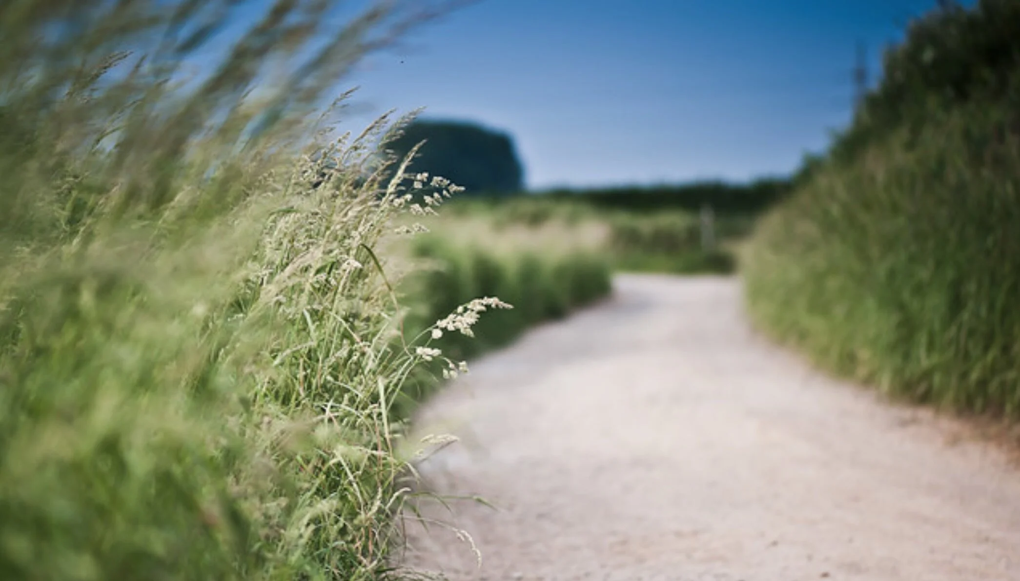 Has to Be Able to Take Rejection