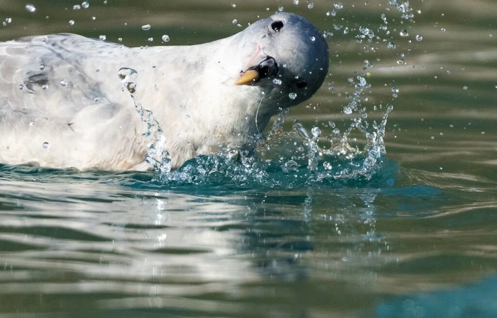 Does Your Sales Team Keep You Up at Night?