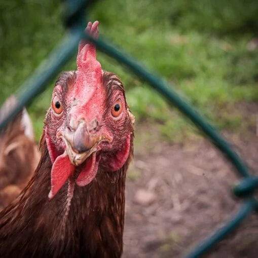 Smart Risks and Big Rewards