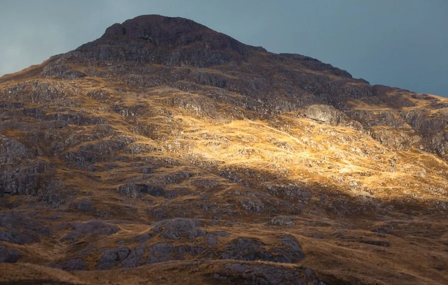 Prospecting for Gold and Customers