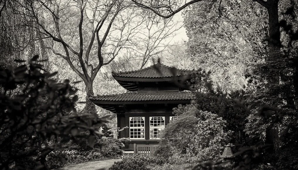 Dipping a Toe or Being Deliberate and Purposeful?