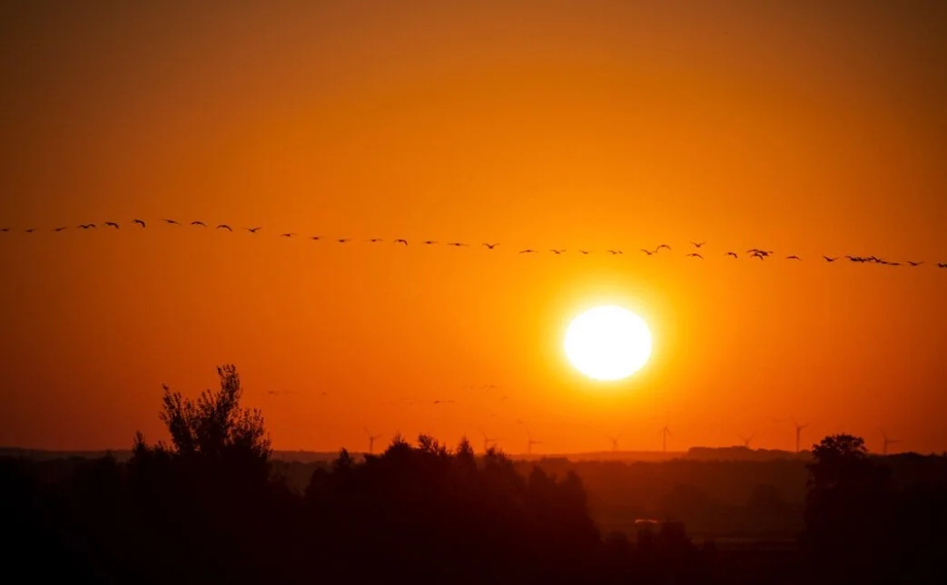 How to Run Great Sales Meetings