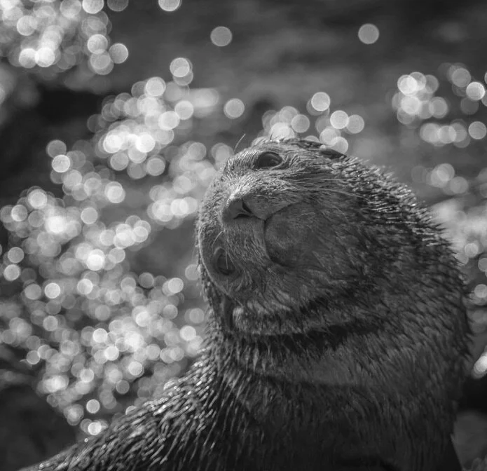 Be A Leader People Like