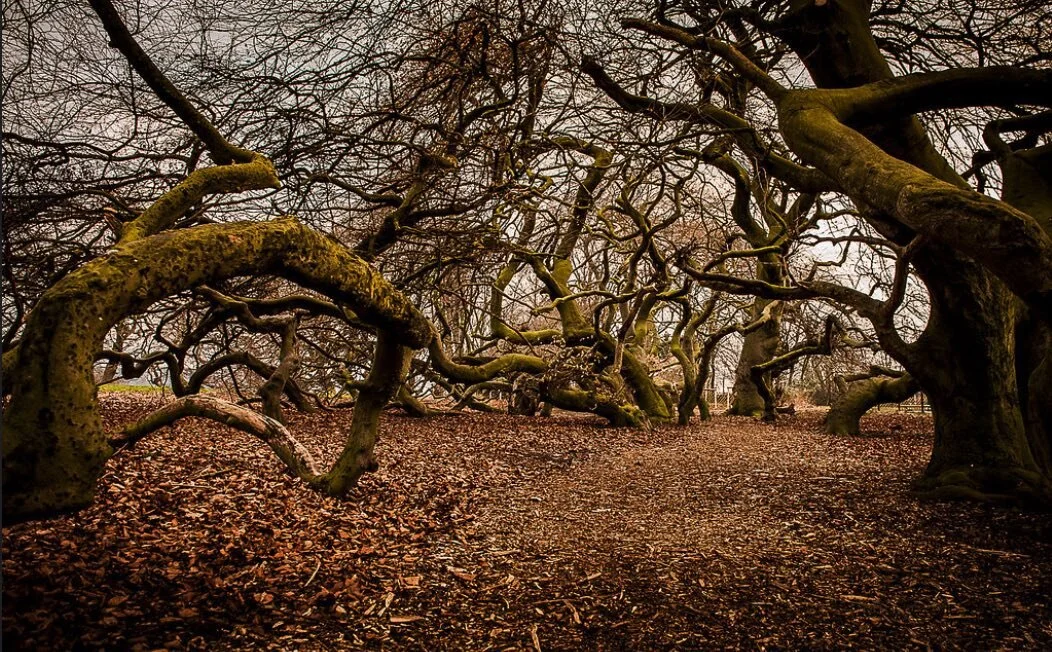 What is Wrong with Those Sales Leaders?