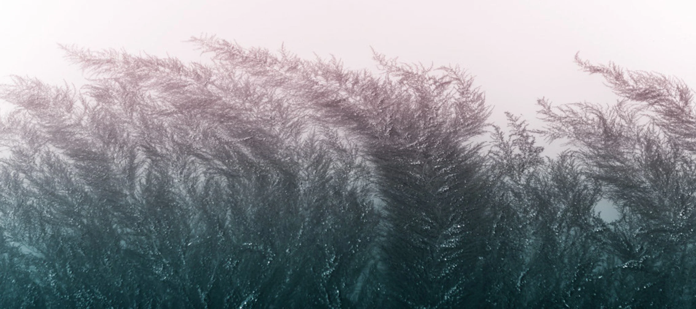 Overcoming the Confirmation Bias