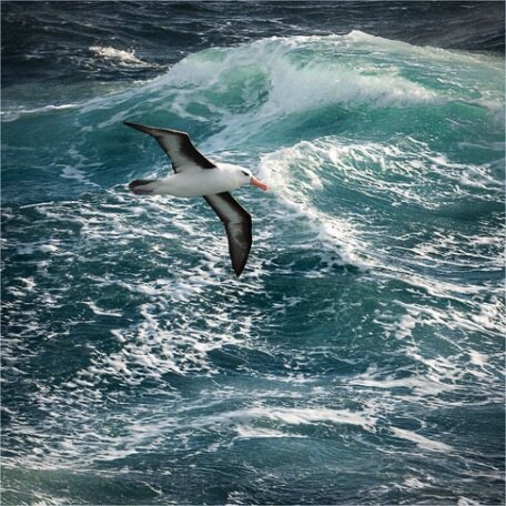 What Exactly Makes an Interim Sales Leader Successful?