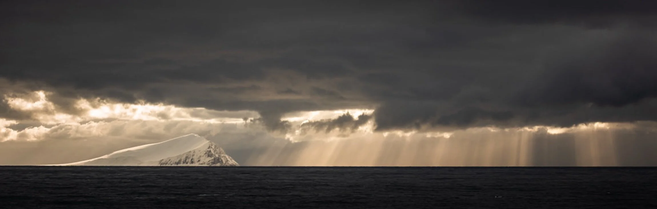 The Perfect Storm For Interim and Fractional Sales Leadership