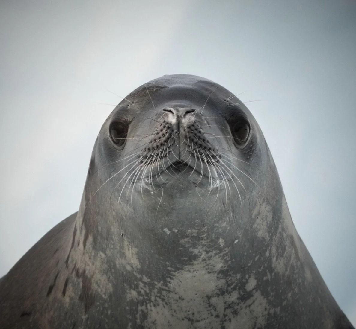 What Goes Around Comes Around