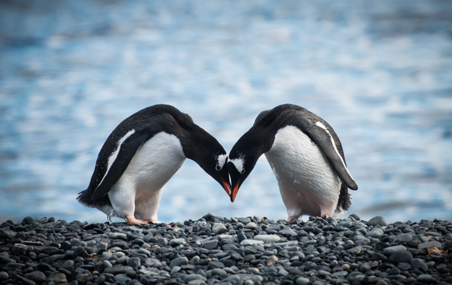 Finding the Perfect Match