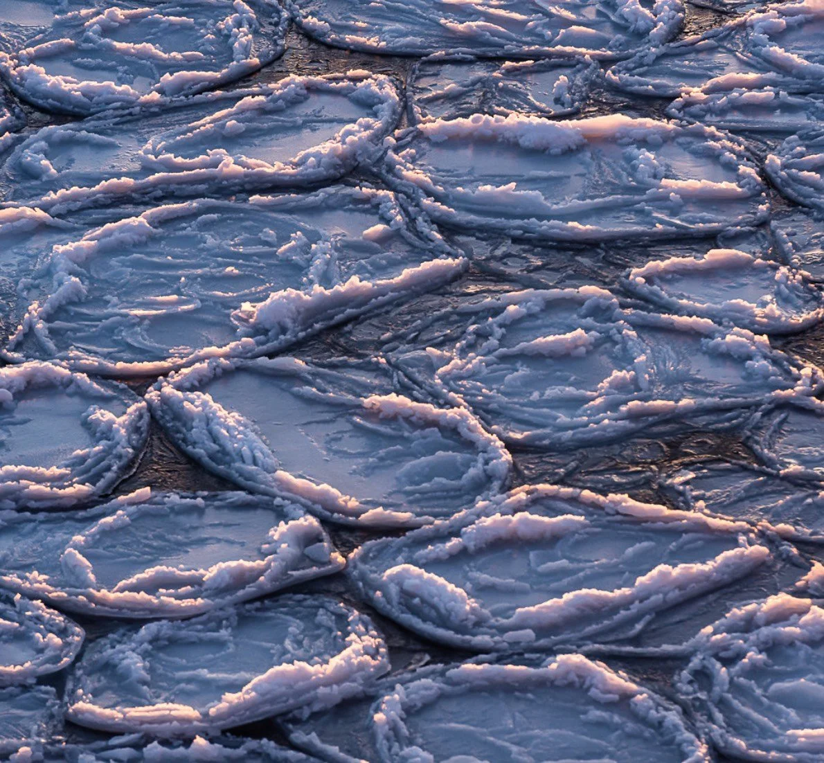 How Do You Lead a Sales Team?