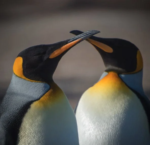 Focus, Expertise, And So Much More