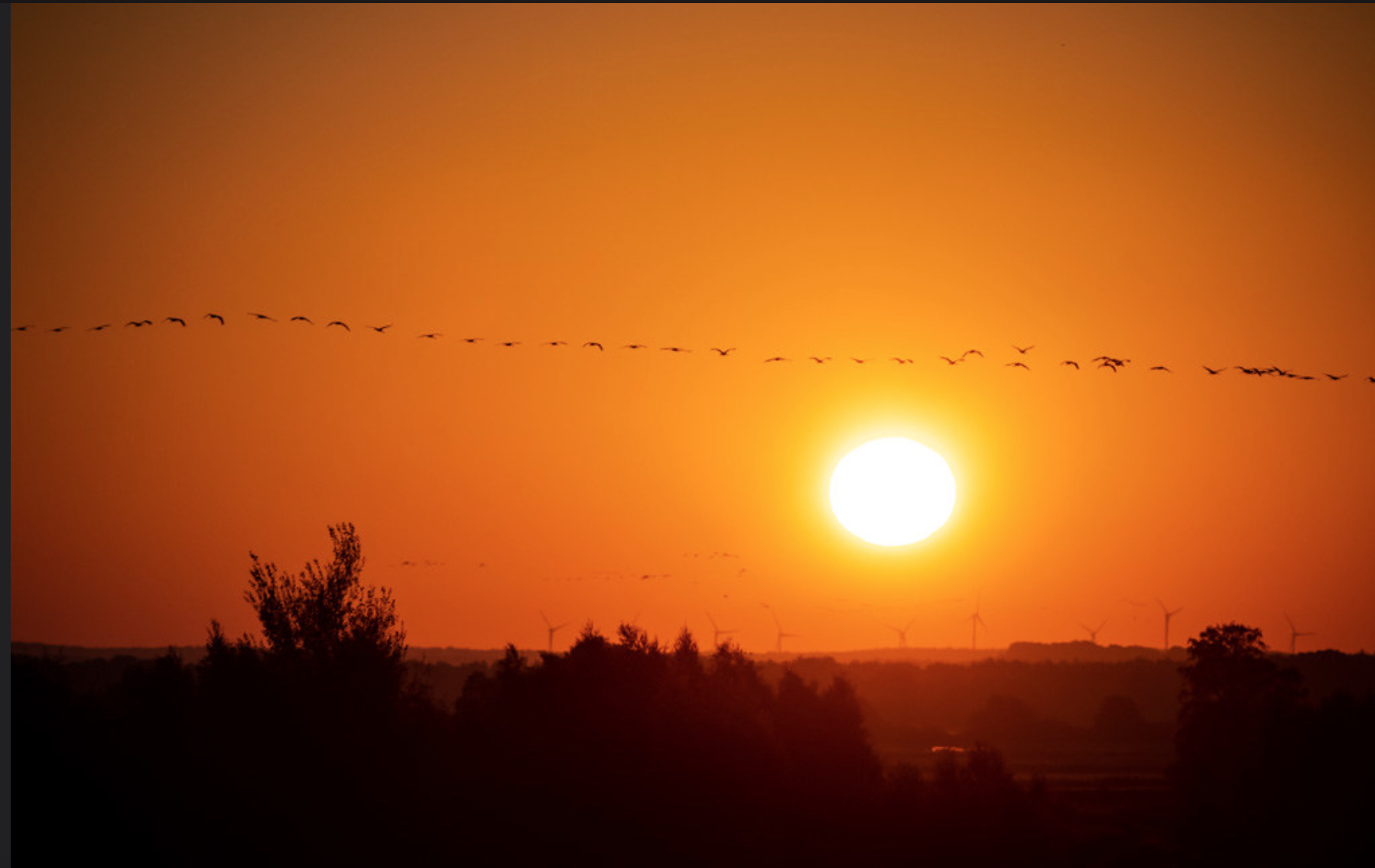 What Is Your Leadership Style?