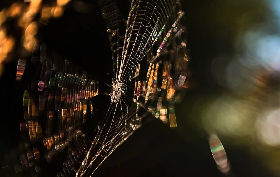 Sales-Centric or Bust