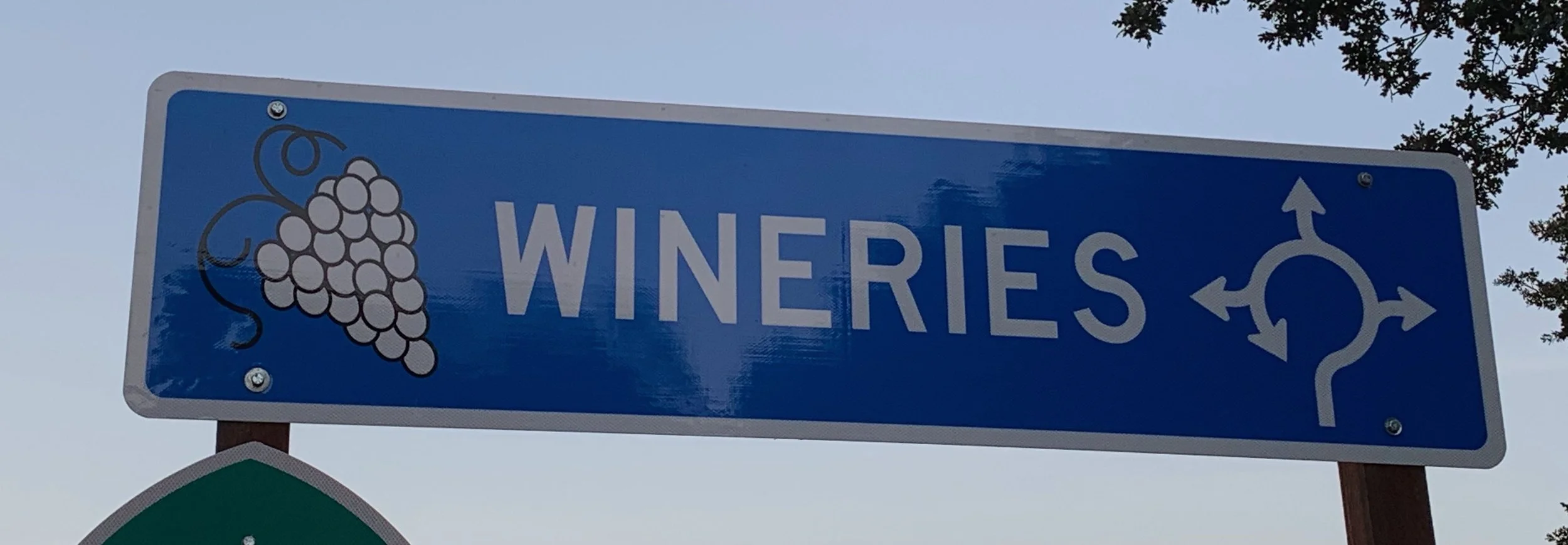 Pivoting or the Art and Science of Moving to Plan B