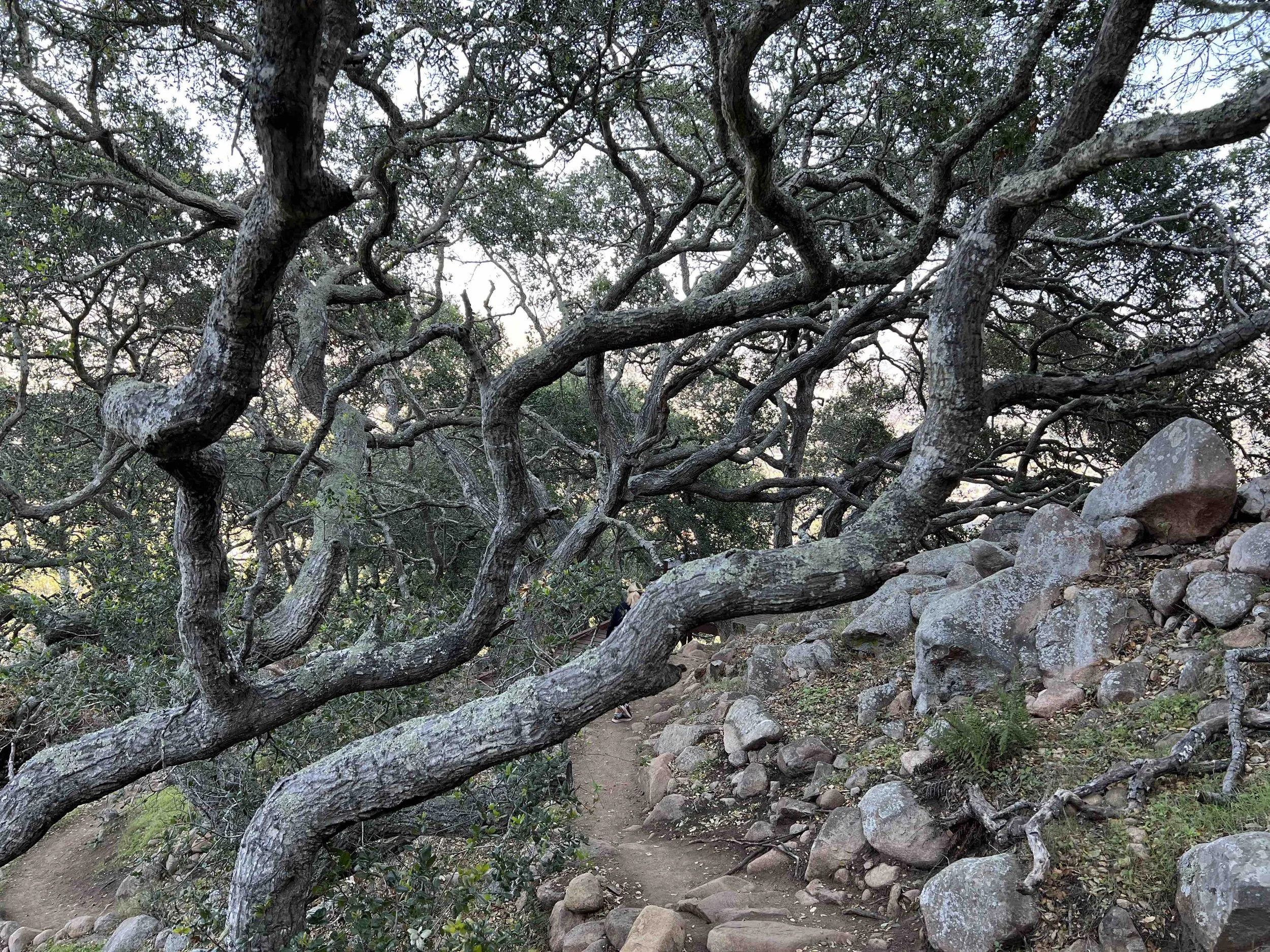 How To Get Out When Stuck Between a Rock and a Hard Place