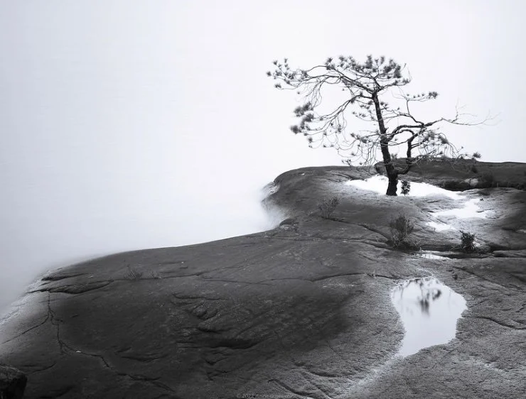 How to Only Make Good Decisions